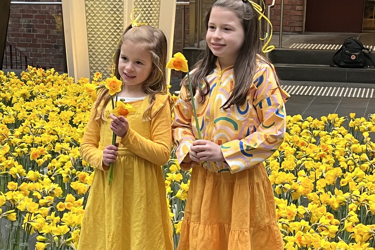 Daffodil Day: Activating Pride of Place — 3